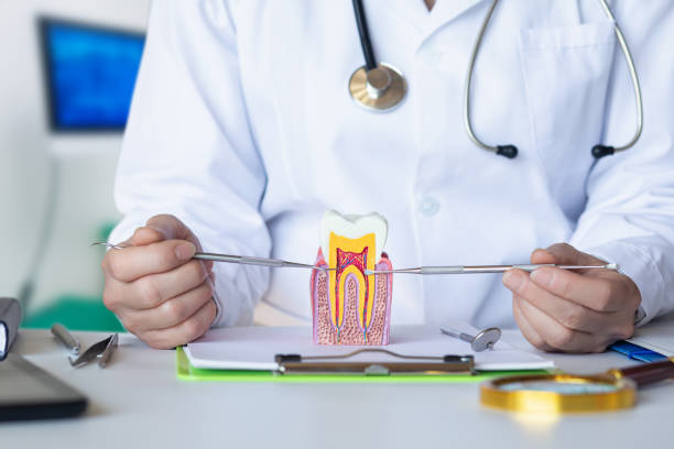 Best Emergency Broken Tooth Repair in Lockwood, MO